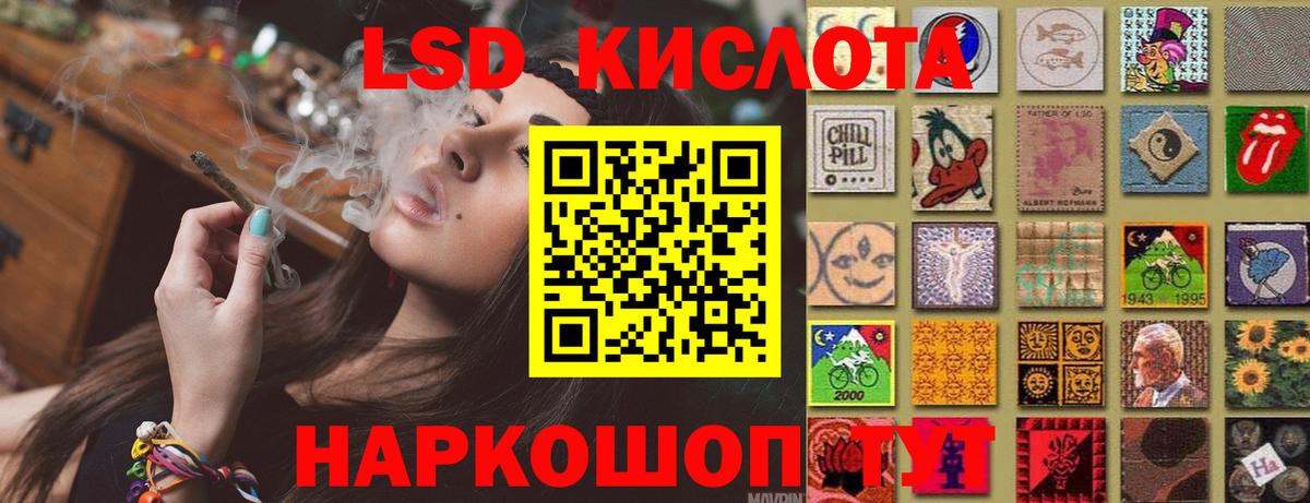 Новозыбков    как войти  Вход с VPN  ЛСД экстази ecstasy 