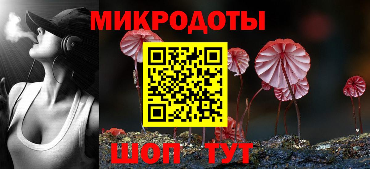 Псилоцибиновые грибы Psilocybine cubensis  Вход с VPN  Новозыбков 
