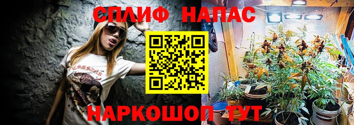 Бошки марихуана Amnesia Новозыбков